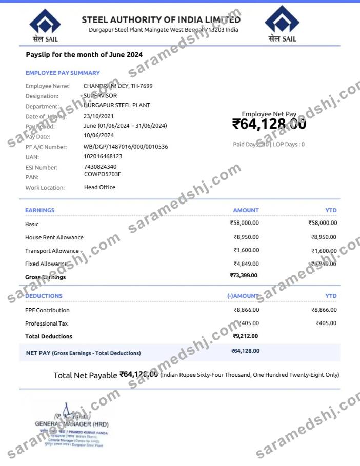 Steel Authority of India payslip template in Word and PDF formats.pdf, 1